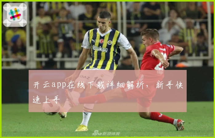 开云app在线下载详细解析，新手快速上手