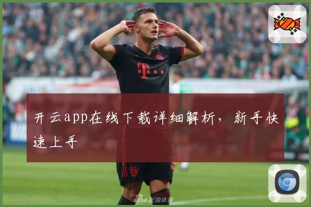 开云app在线下载详细解析，新手快速上手