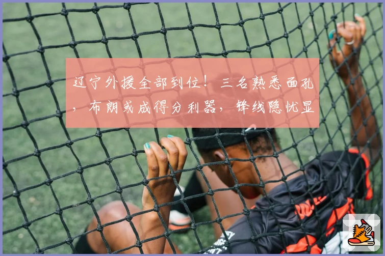 辽宁外援全部到位!三名熟悉面孔,布朗或成得分利器,锋线隐忧显现